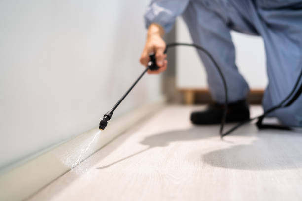 Licensed Cockroach Control service in Hilltop, SC - Nex Pest Control