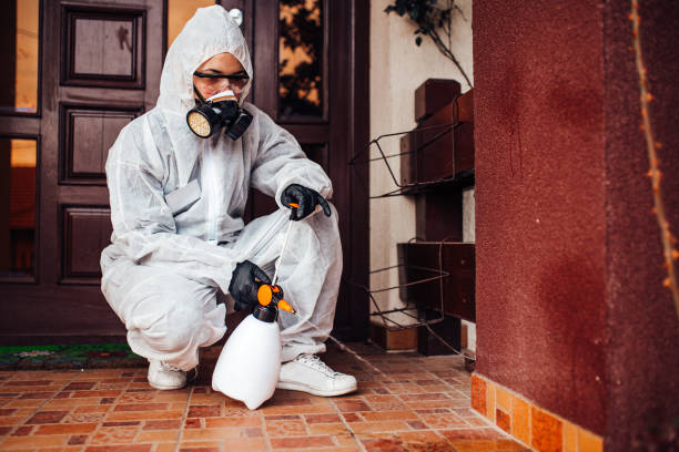 Reliable Cockroach Control contractor in Hilltop, SC by Nex Pest Control